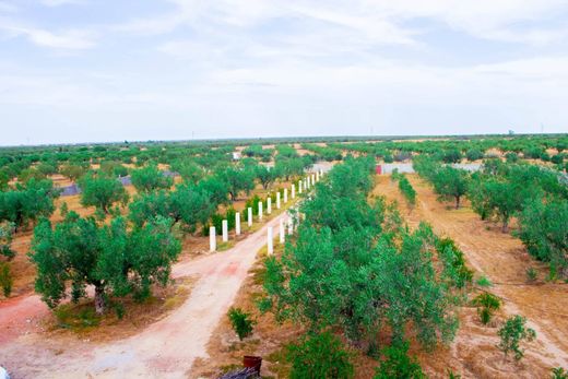 Casa rural / Casa de pueblo en Msaken, Délégation de M’saken