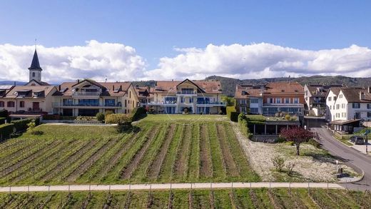 Apartment in Bursinel, Nyon District