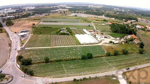 Terreno a Caldas da Rainha, Distrito de Leiria