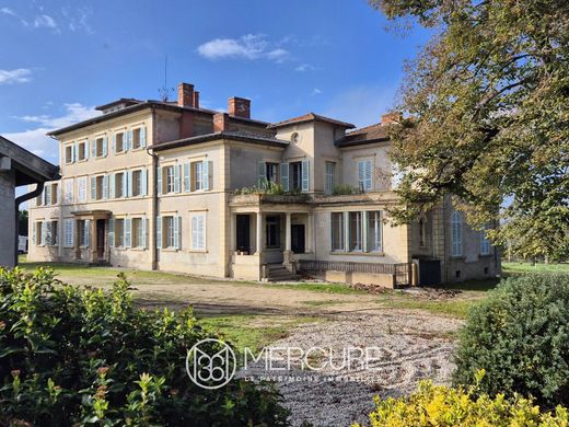 Castle in Feurs, Loire