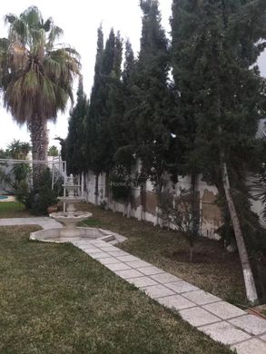 Villa a Borj Cedria, Hammam Chott