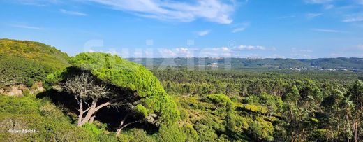 Luxury home in São Martinho do Porto, Alcobaça