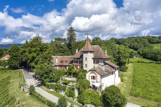 Κάστρο σε Begnins, Nyon District