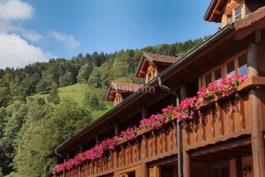 Rural or Farmhouse in Sainte-Marie-aux-Mines, Haut-Rhin