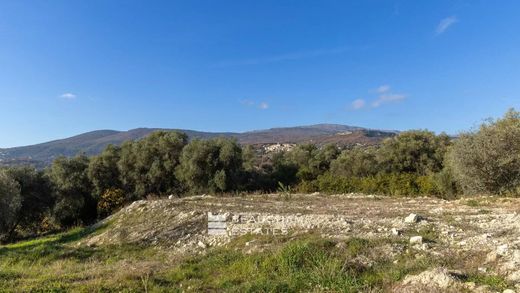 Terreno a Opio, Alpi Marittime