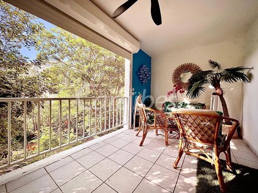 ‏דירה ב  Saint Martin