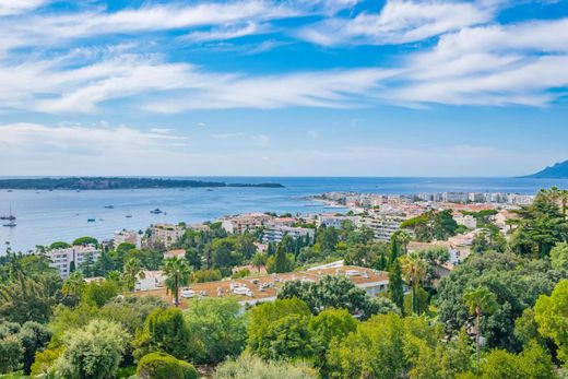 아파트 / 칸, Alpes-Maritimes