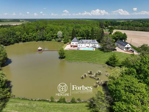 Luxury home in Saint-Cyran-du-Jambot, Indre