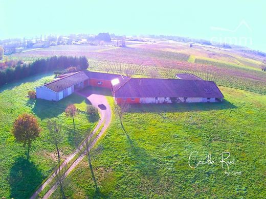 Элитный дом, Saint-Christoly-de-Blaye, Gironde