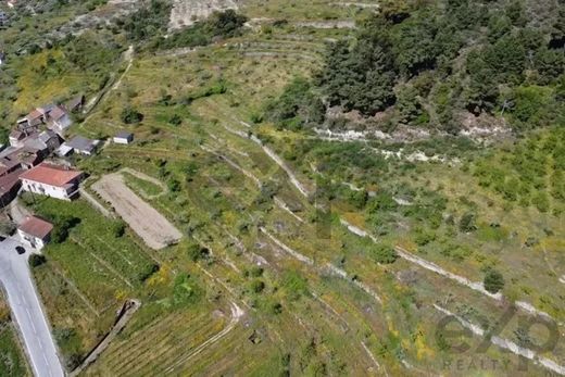 Terreno a Pegarinhos, Alijó