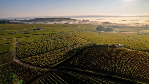 Demeure ou Maison de Campagne à Lantignié, Rhône