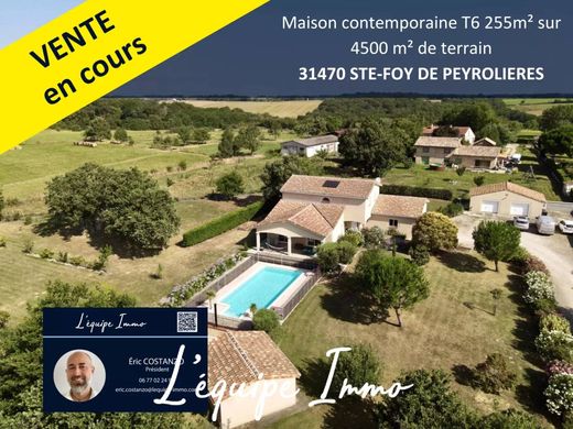 Luxury home in Saint-Lys, Upper Garonne