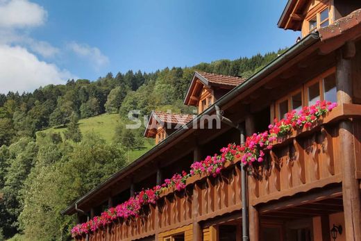 Rustik ya da çiftlik Sainte-Marie-aux-Mines, Haut-Rhin