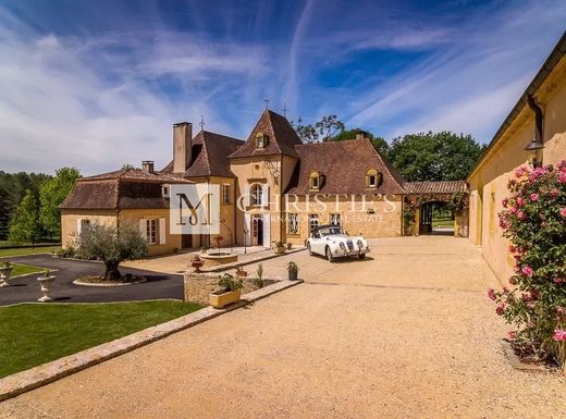 Kasteel in Le Bugue, Dordogne