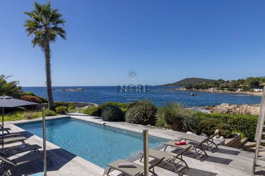 别墅  Pietrosella, South Corsica