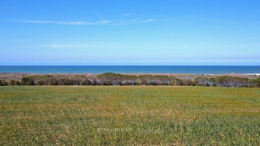 Land in Oualidia, El-Jadida