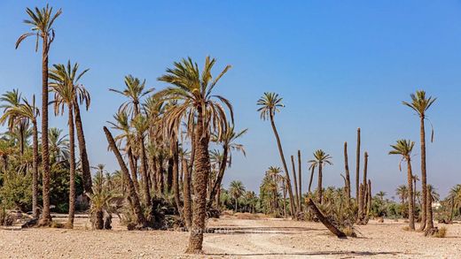 Grundstück in Marrakesch, Marrakech