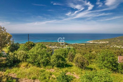 Teren w Corbara, Upper Corsica
