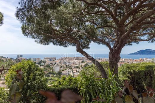 Luxury home in Cannes, Alpes-Maritimes