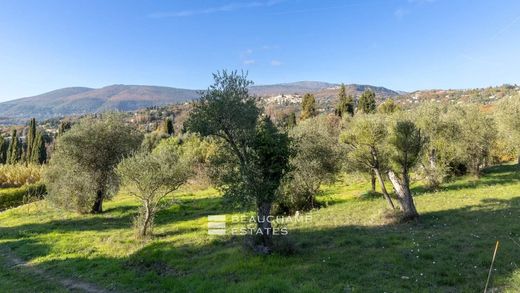 Terreno a Opio, Alpi Marittime
