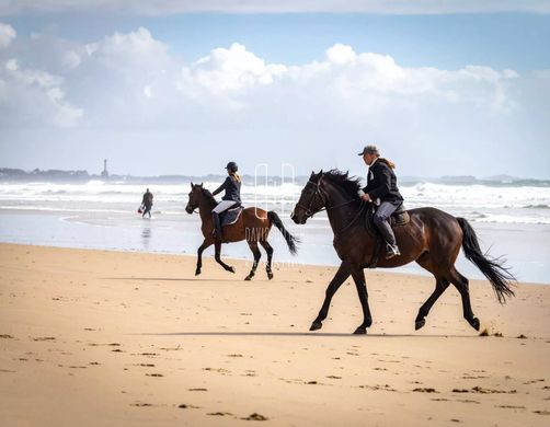 Casa de luxo - La Baule-Escoublac, Loire-Atlantique