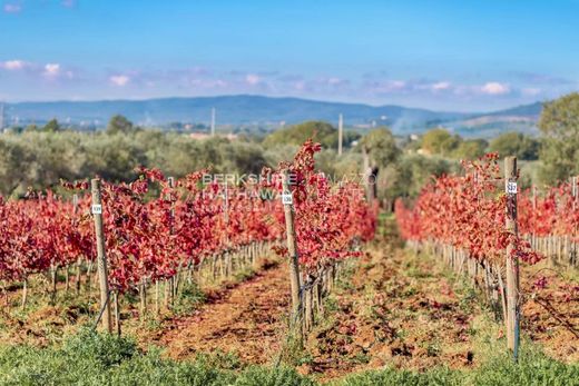 Budynek w Gavorrano, Provincia di Grosseto