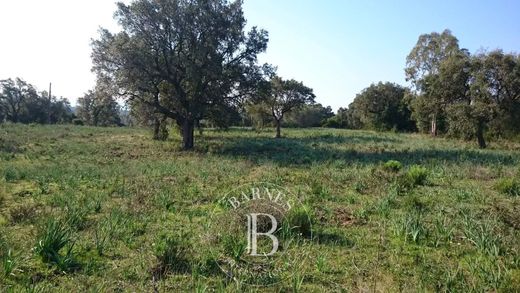 ‏קרקע ב  Porto-Vecchio, South Corsica