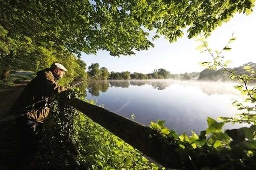 Элитный дом, Confolens, Charente