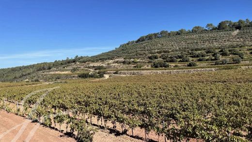 Rustico o Casale a Le Thoronet, Var