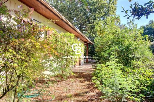 Luxe woning in Pyla sur Mer, Gironde