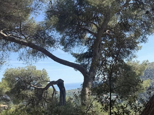 Teren w Falicon, Alpes-Maritimes