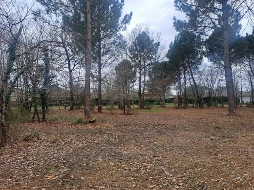 Участок, Gujan-Mestras, Gironde