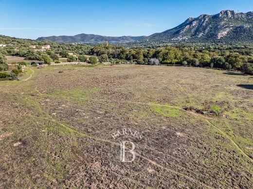 Terreno en L'Île-Rousse, Alta Córcega