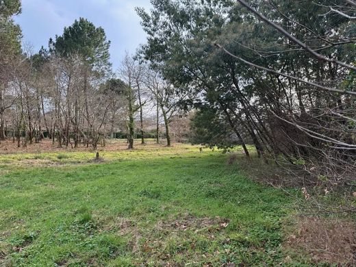 Участок, Gujan-Mestras, Gironde