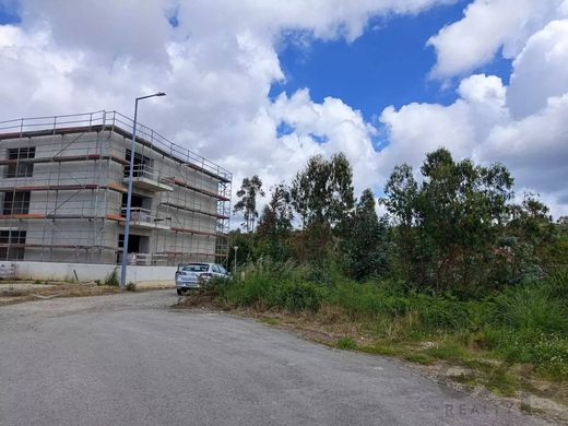 Αγροτεμάχιο σε Santa Maria da Feira, Distrito de Aveiro