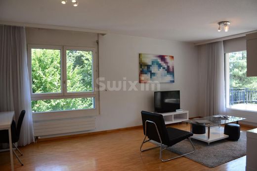 Apartment in Lancy, Geneva