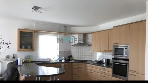 Apartment in Reckange-sur-Mess, Canton d'Esch-sur-Alzette
