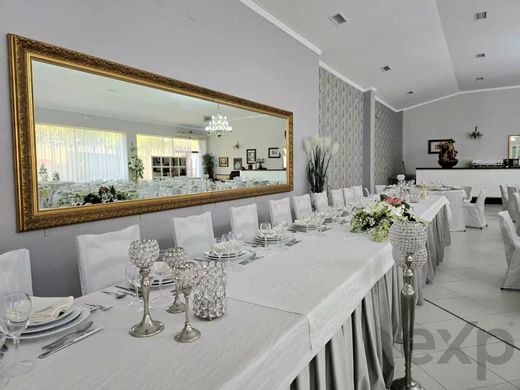 Rustykalny lub Wiejski w Castelo Branco, Distrito de Castelo Branco