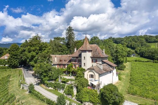 Schloss / Burg in Begnins, Nyon District