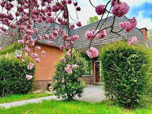 ﻓﻴﻼ ﻓﻲ Binche, Province du Hainaut