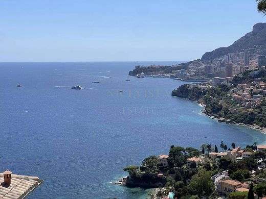 Roquebrune-Cap-Martin, Alpes-Maritimesのヴィラ