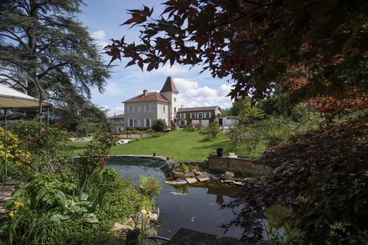 Luxury home in Saint-Didier-de-Formans, Ain