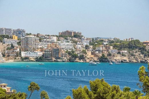 Daire Cas Català, Illes Balears