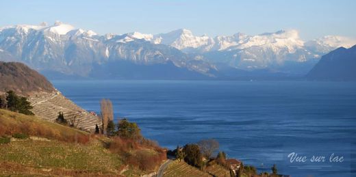 Land in Grandvaux, Lavaux-Oron District
