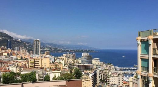 Apartment / Etagenwohnung in Monaco