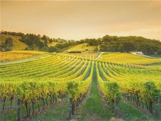 Rural ou fazenda - Cognac, Charente