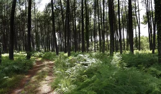 Διαμέρισμα σε Ondres, Landes