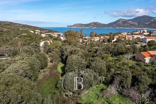 Land in Calvi, Upper Corsica