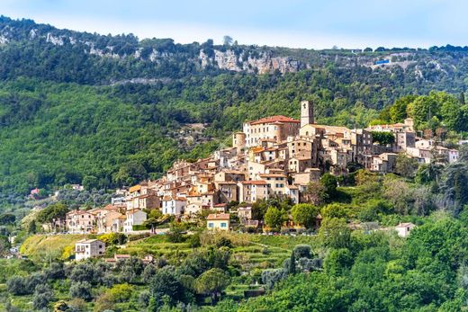 Le Bar-sur-Loup, Alpes-Maritimesのホテル