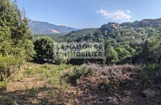 أرض ﻓﻲ Figari, South Corsica
